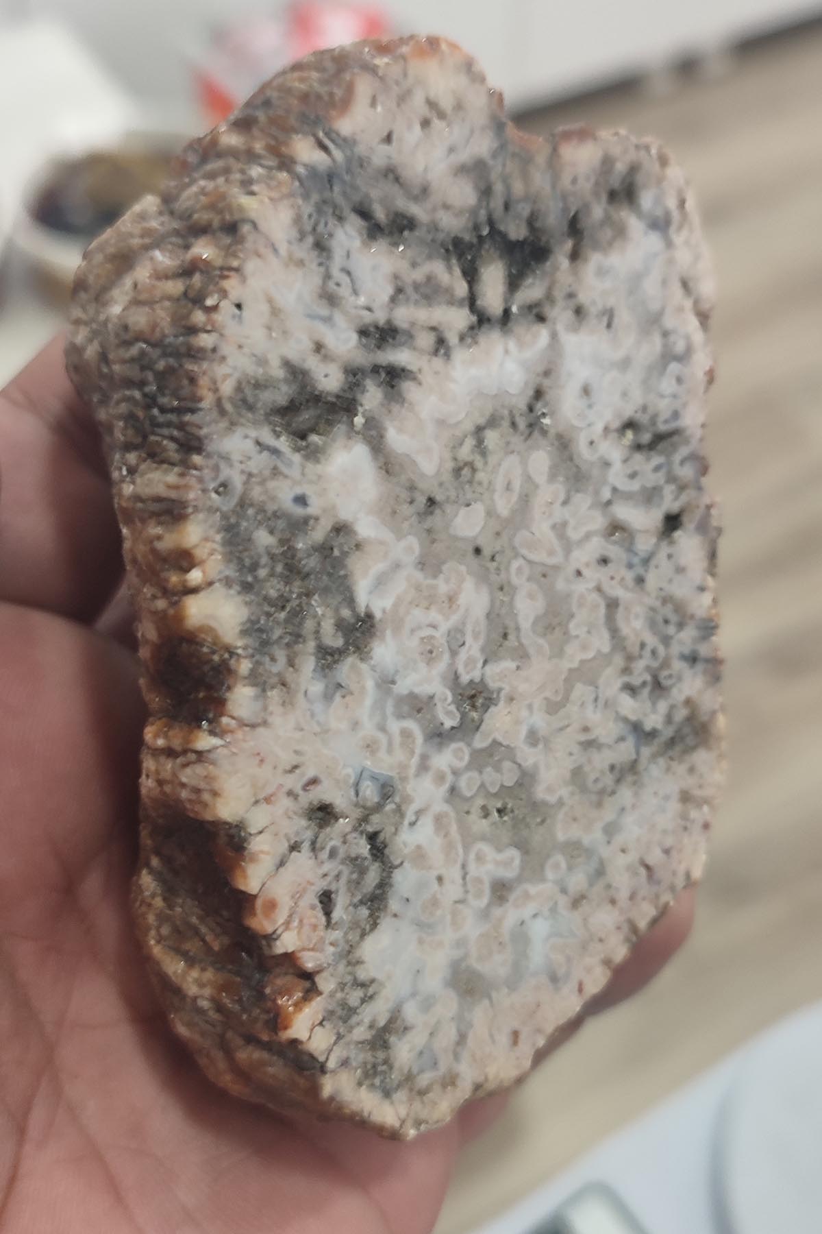 Agate Stone ( Akik Taşı ) Koleksiyonluk Tek Parça 415 Gr - Görsel 2