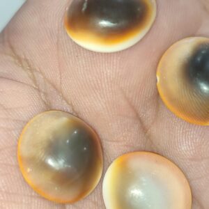 Yılancık Taşı 5 Adet