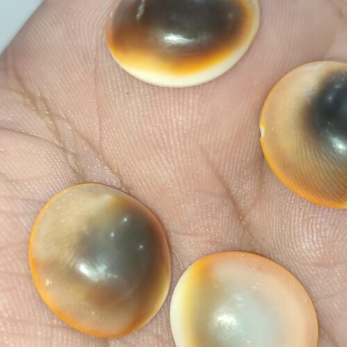 Yılancık Taşı 5 Adet