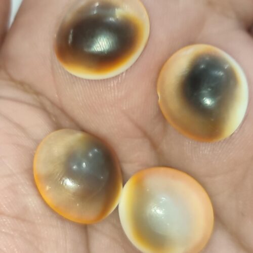 Yılancık Taşı Orjinal 1 Adet