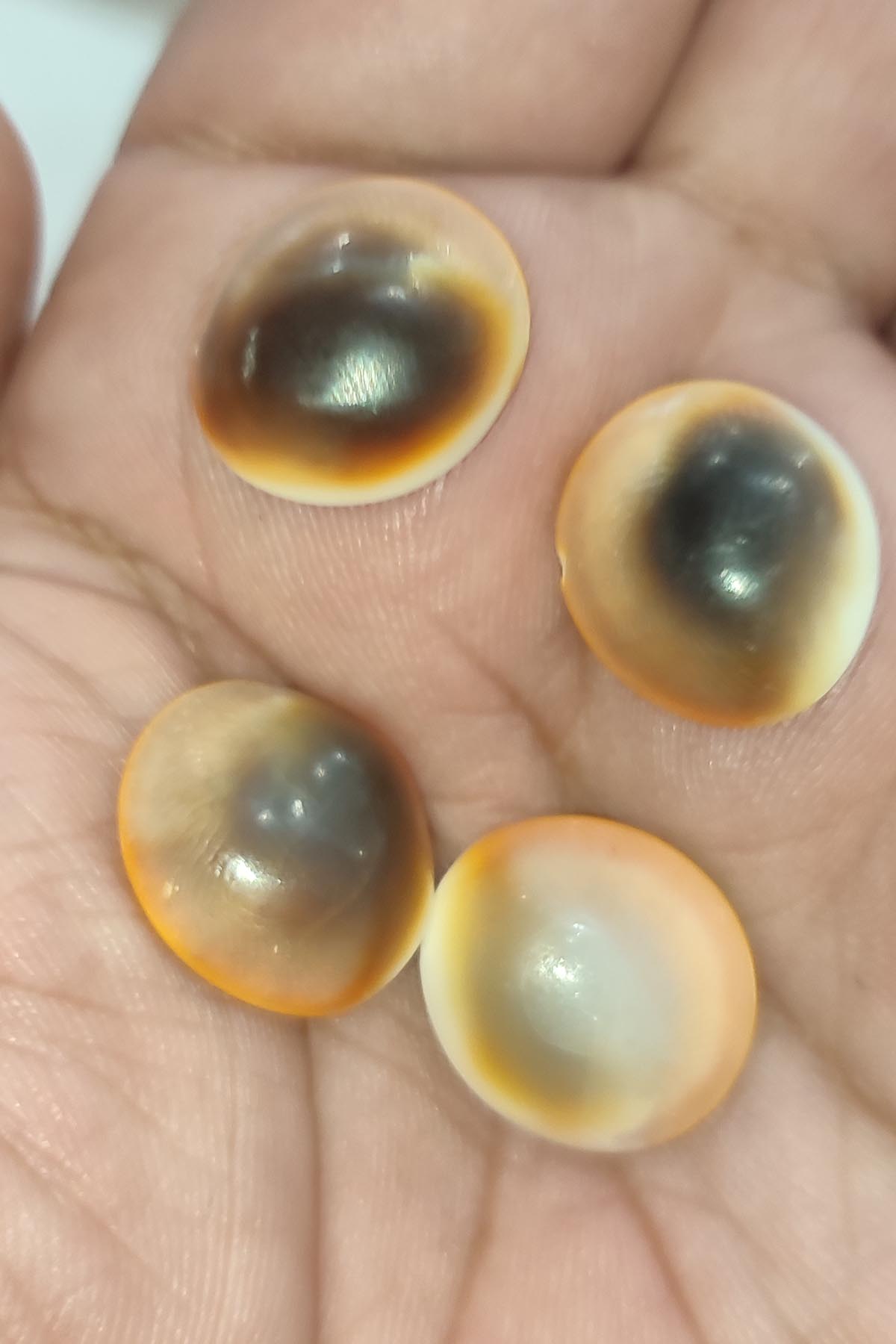 Yılancık Taşı 5 Adet - Görsel 6