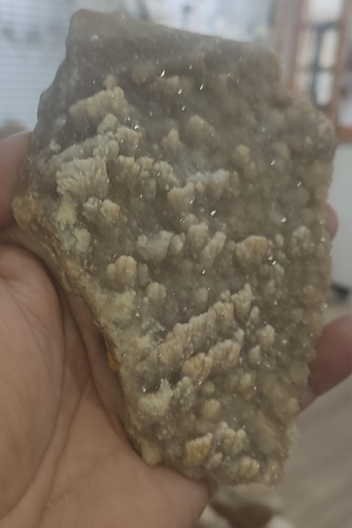 Harika Görüntülerine Rağmen Son Derece Zehirli Olan 10 Taş
