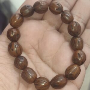 Andız Ağacı Çekirdeği Natural Bileklik