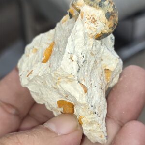 Salyangoz Fosili Doğaltaş Ham İşlenmemiş  Dekoratif Kütle 73 gr