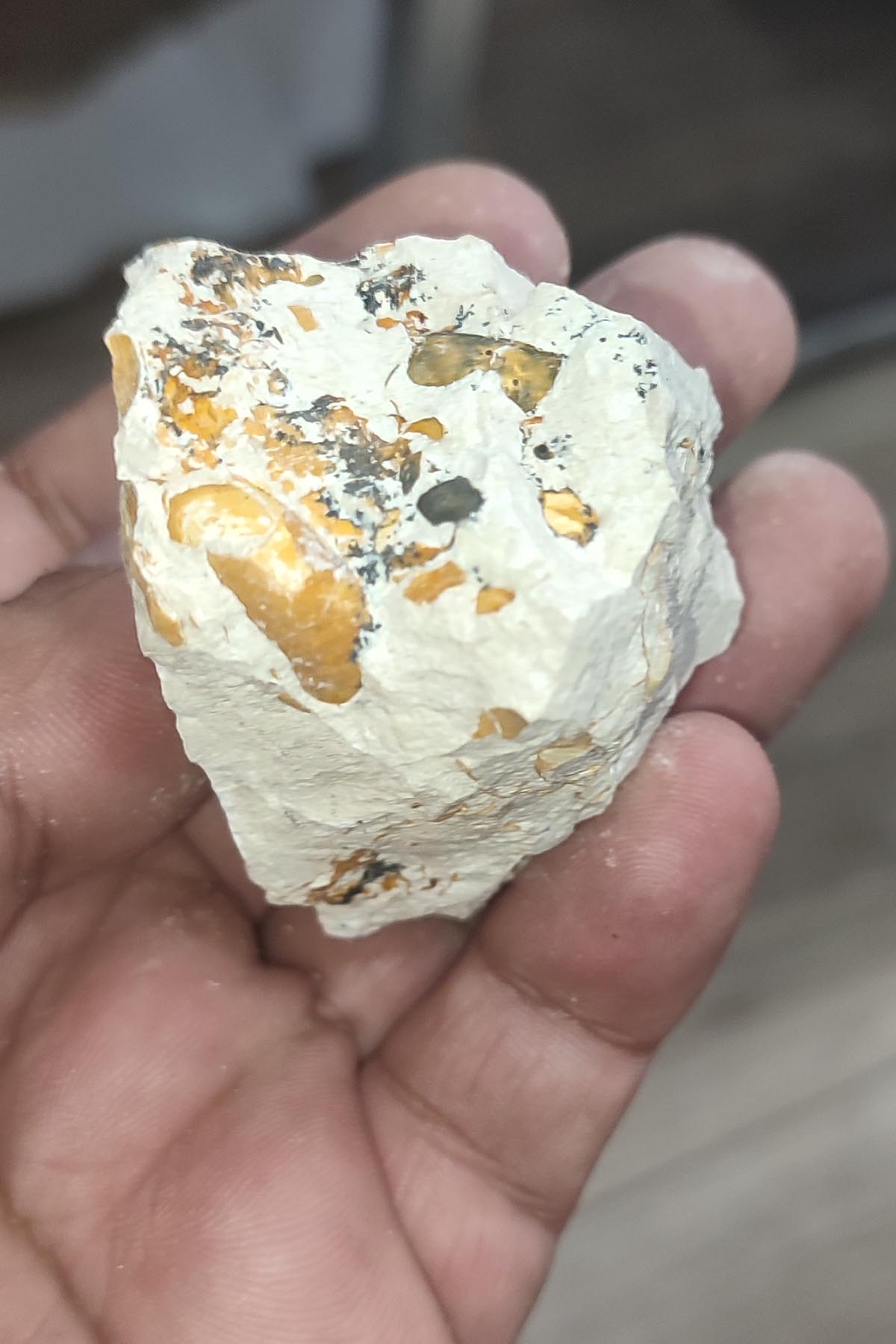 Salyangoz Fosili Doğaltaş Ham İşlenmemiş Dekoratif Kütle 112 gr - Görsel 3