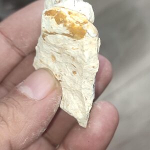 Salyangoz Fosili Doğaltaş Ham İşlenmemiş  Dekoratif Kütle 55 gr