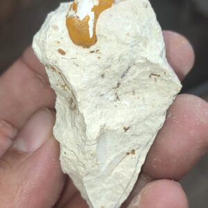 Salyangoz Fosili  Doğaltaş Ham İşlenmemiş  Dekoratif Kütle 56 gr