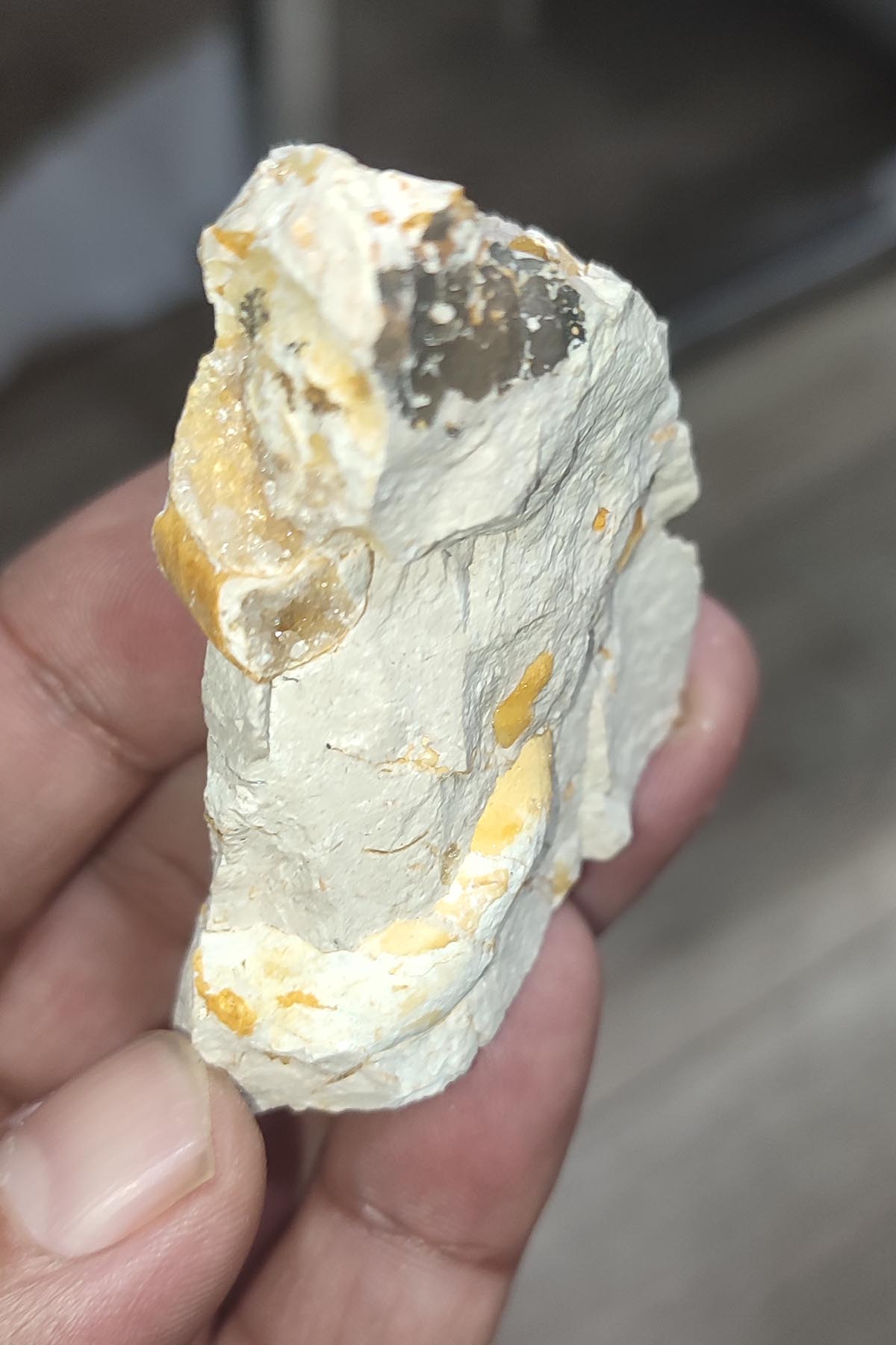 Salyangoz Fosili Doğaltaş Ham İşlenmemiş Dekoratif Kütle 75 gr - Görsel 2