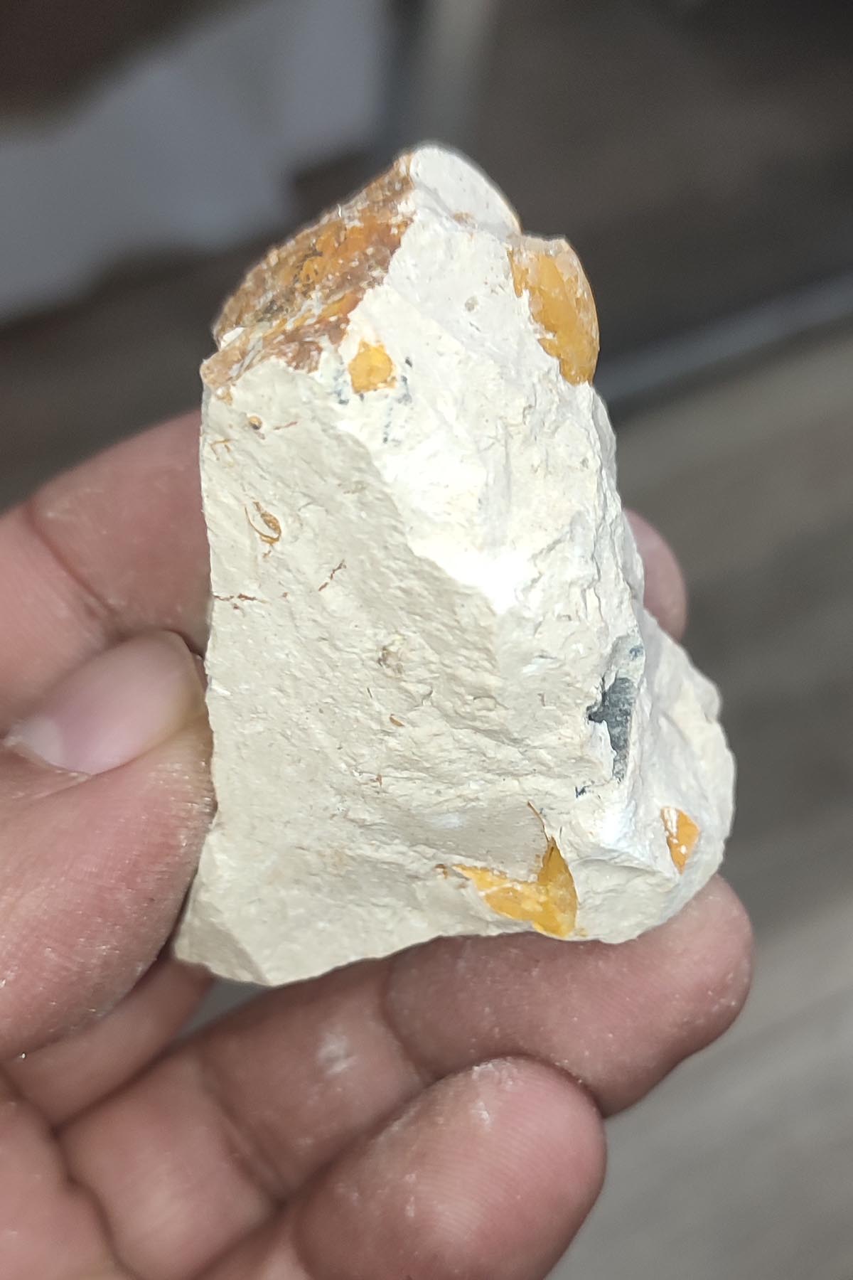 Salyangoz Fosili Doğaltaş Ham İşlenmemiş Dekoratif Kütle 76 gr - Görsel 2