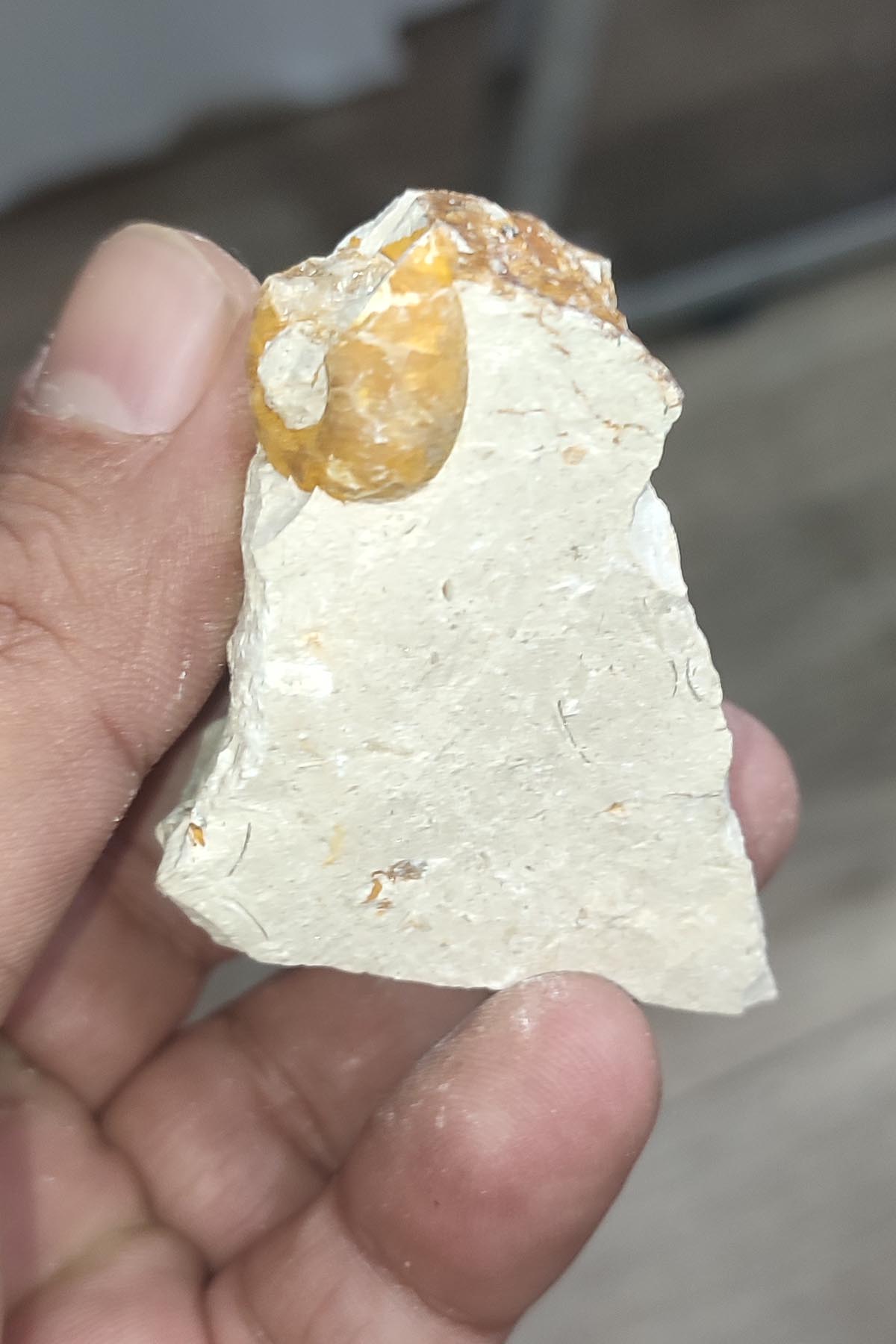 Salyangoz Fosili Doğaltaş Ham İşlenmemiş Dekoratif Kütle 76 gr - Görsel 3