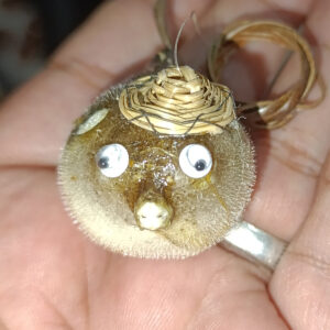 Balon Balığı Tamamen Doğal Mini Boy