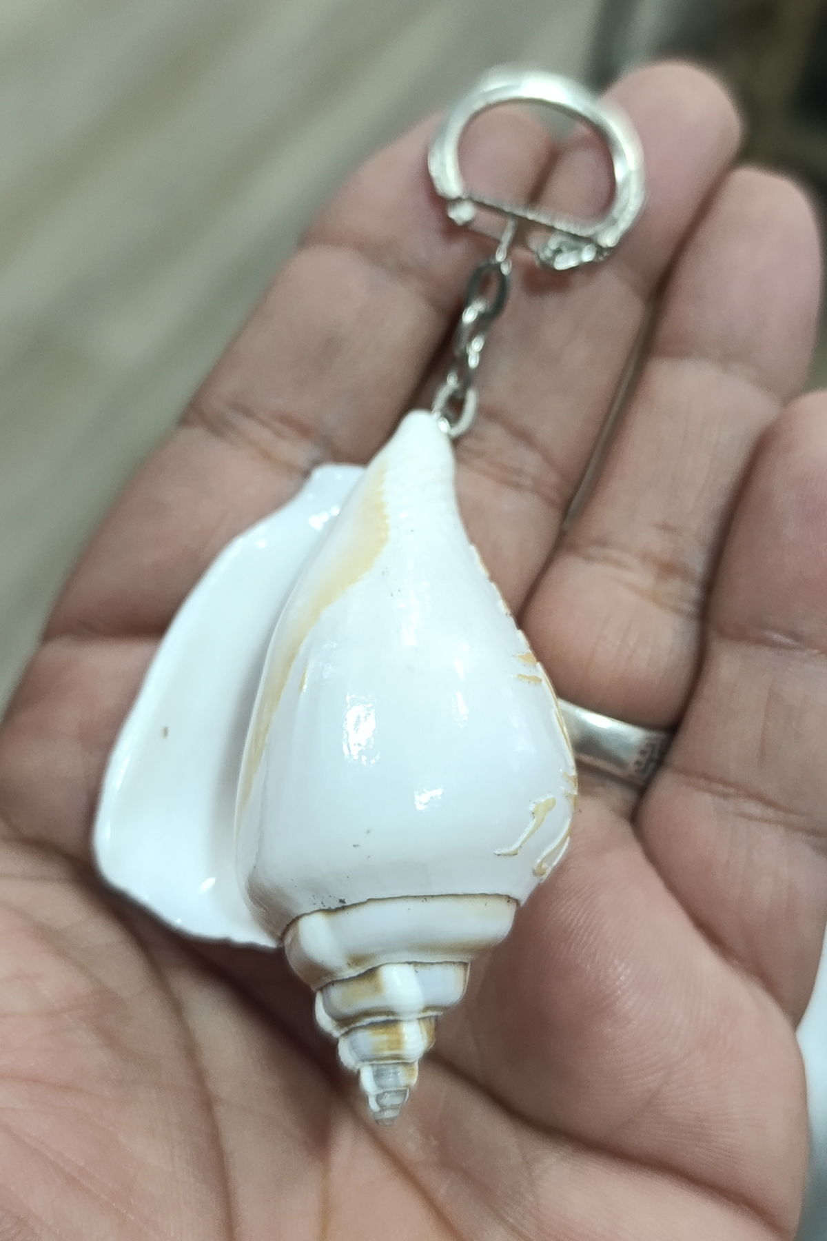 Deniz Kabuğu Orjinal Anahtarlık - Görsel 4