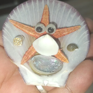 Moon Shell Deniz Yıldızlı Deniz Kabuğu Magnet