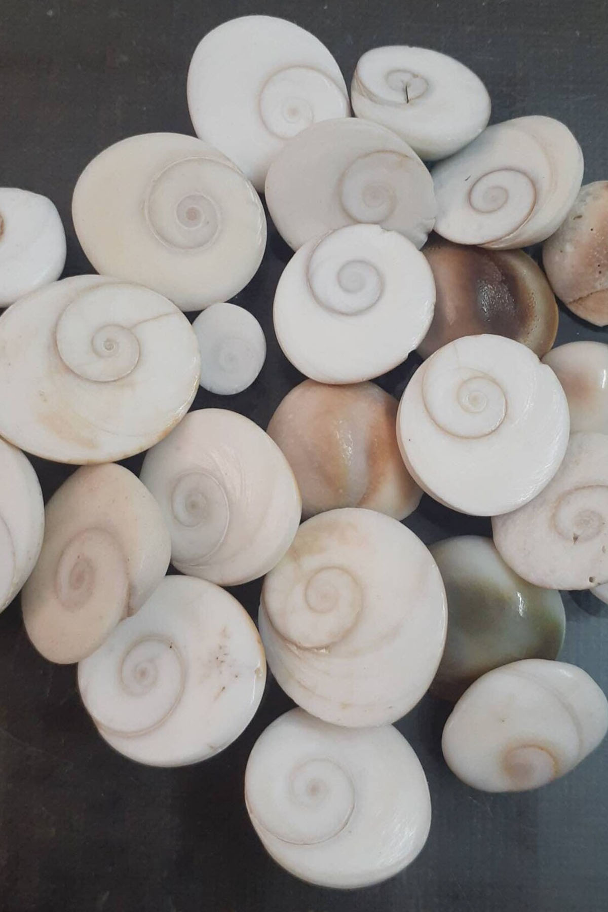 Yılancık Taşı 5 Adet - Görsel 2