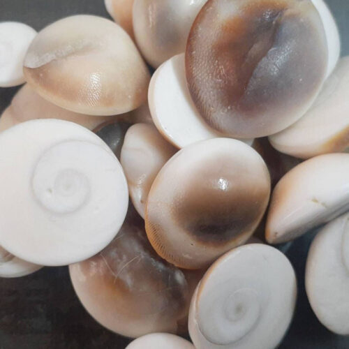 Yılancık Taşı 3 Adet