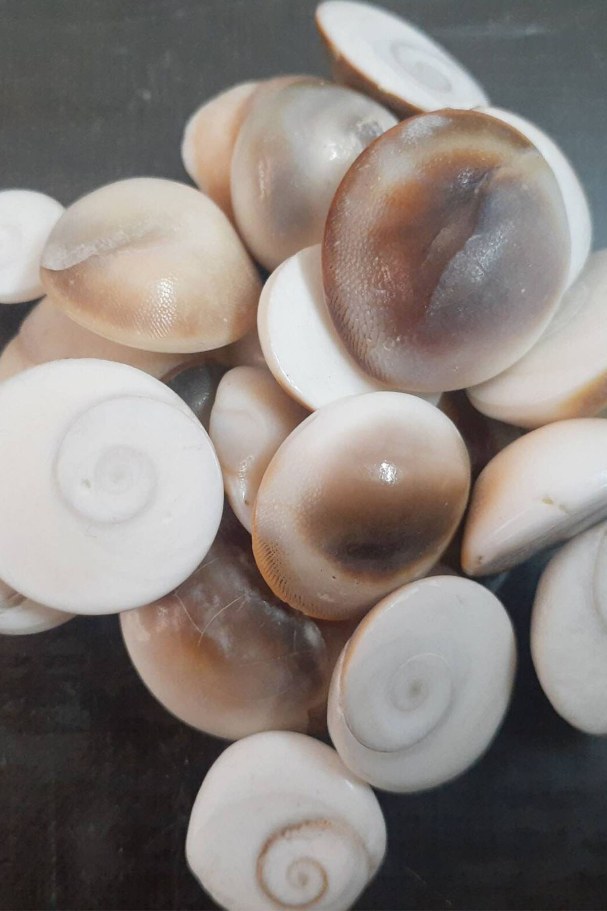 Yılancık Taşı 5 Adet - Görsel 3