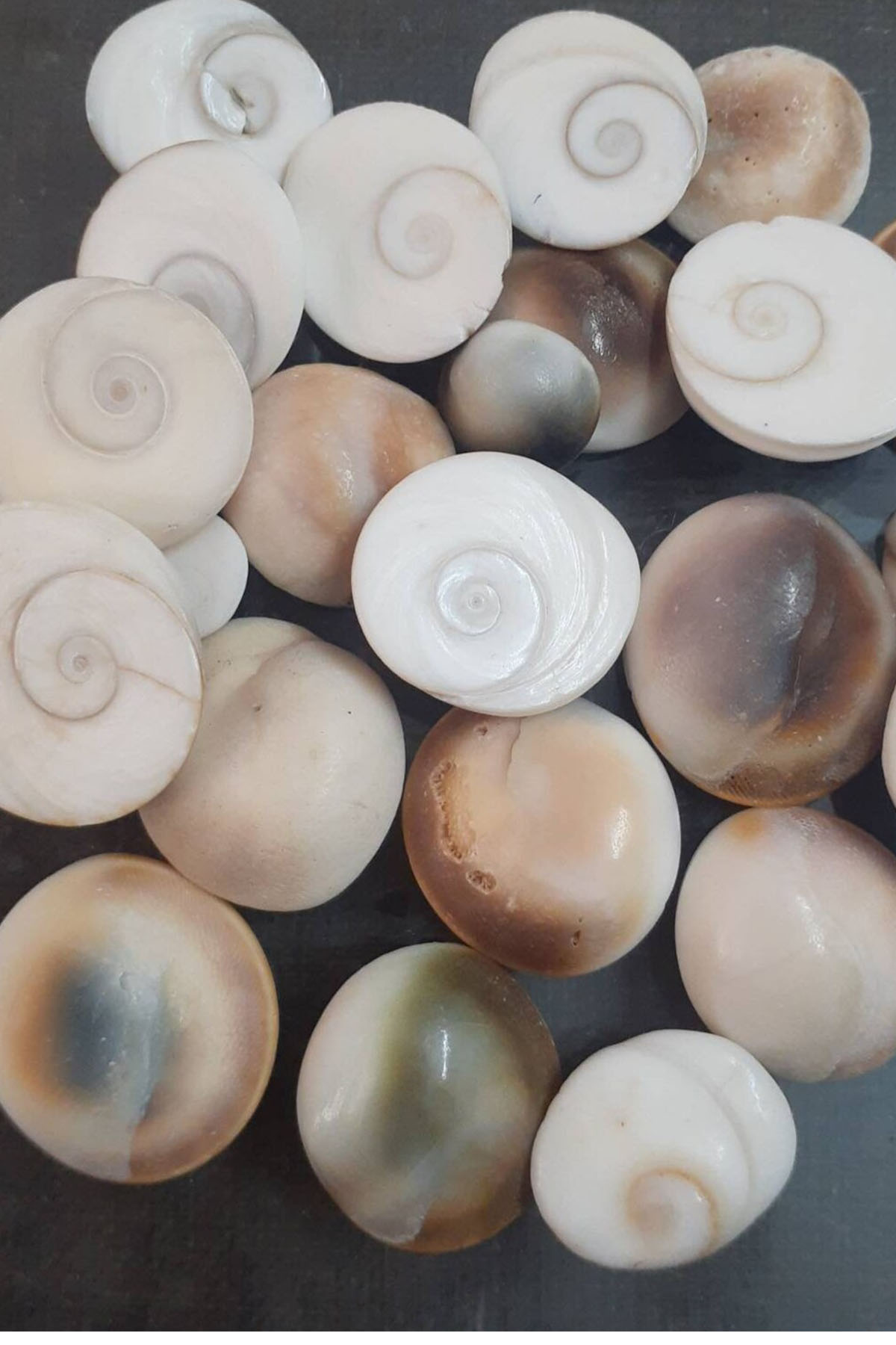 Yılancık Taşı 5 Adet - Görsel 4