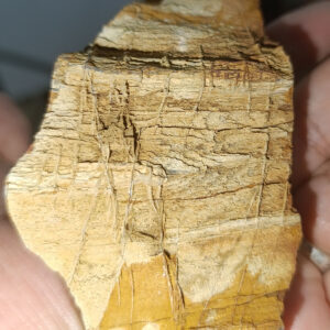 Ağaç Fosili Ham Natural Doğaltaş Kütle 283 Gr