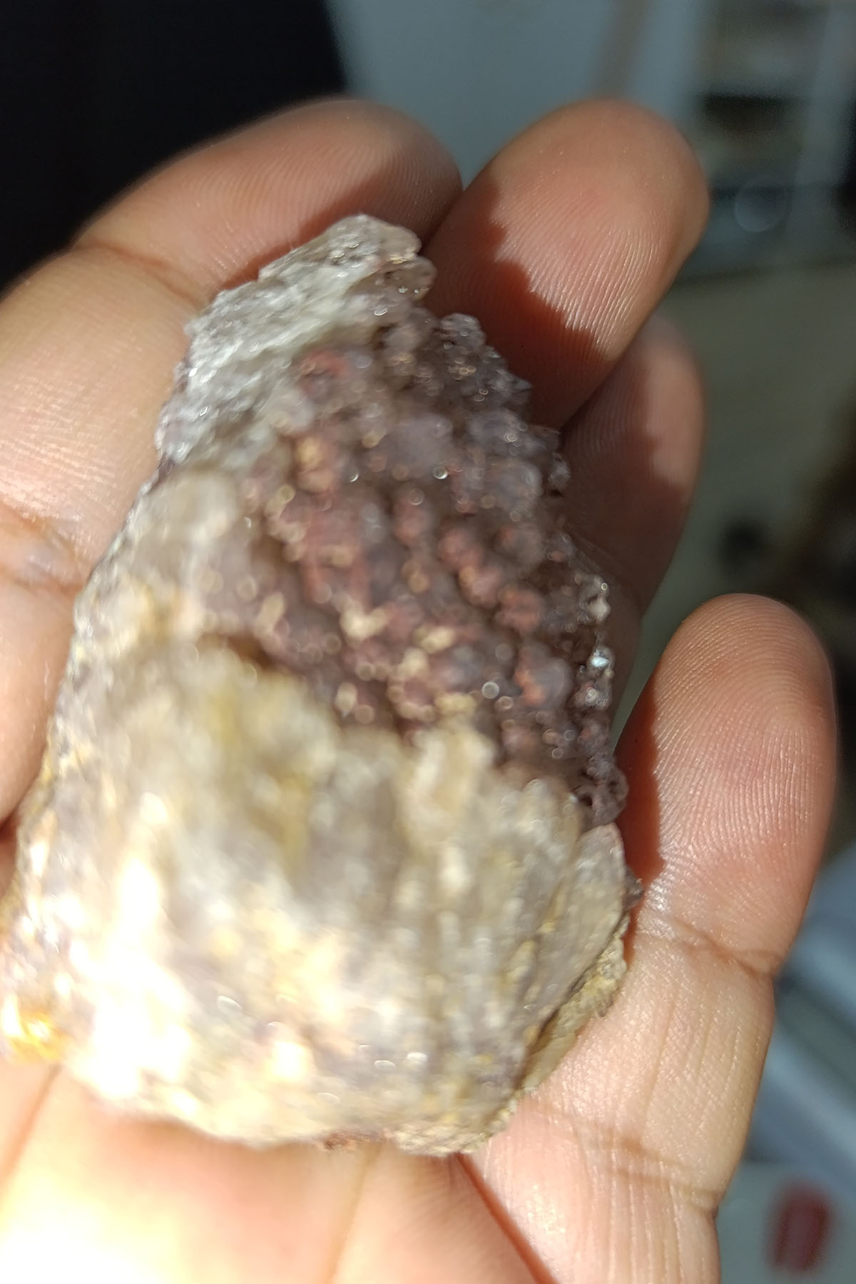Ametist Taşı Ham Natural Doğaltaş Kütle 64 Gr - Görsel 3