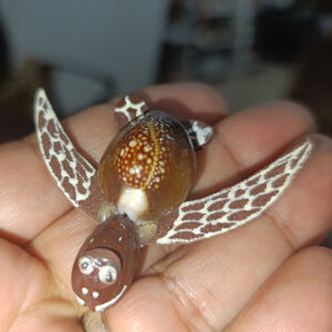 Caretta Dekoratif Biblo 5 Cm