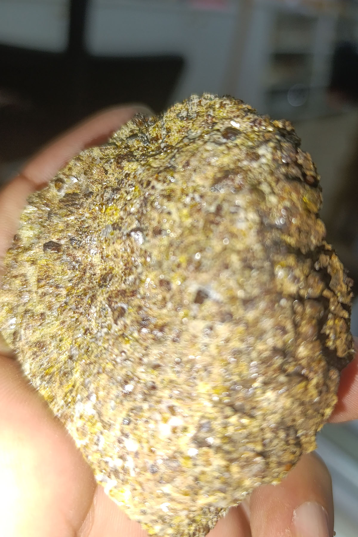 Zirkon Taşı Kasacında Ham Natural Doğaltaş Kütle 275 Gr - Görsel 2