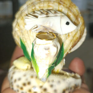 Deniz Kabuğu Radula Peçetelik