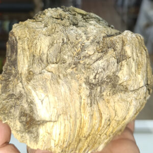 Ağaç Fosili Ham Natural Doğaltaş Kütle 1442 Gr