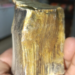 Ağaç Fosili Ham Natural Doğaltaş Kütle 493 gr