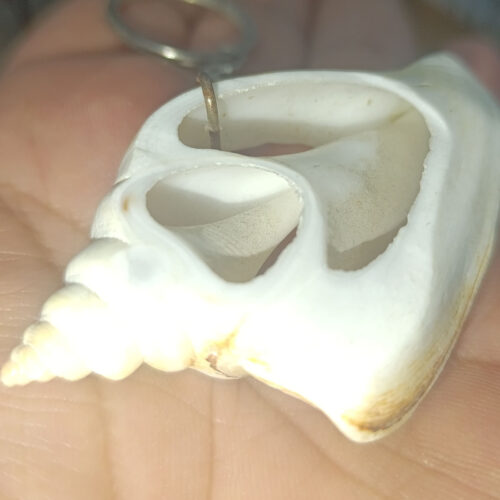 Kesik Canarium Deniz Kabuğu Anahtarlık