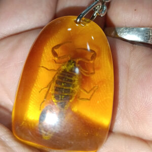 Üçgen Tasarım Gerçek Akrepli Anahtarlık