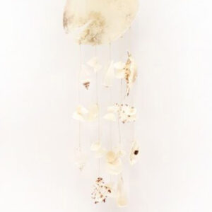 Placuna Karışık Deniz Kabuklu Sarkaç Rüzgar Çanı 50 cm