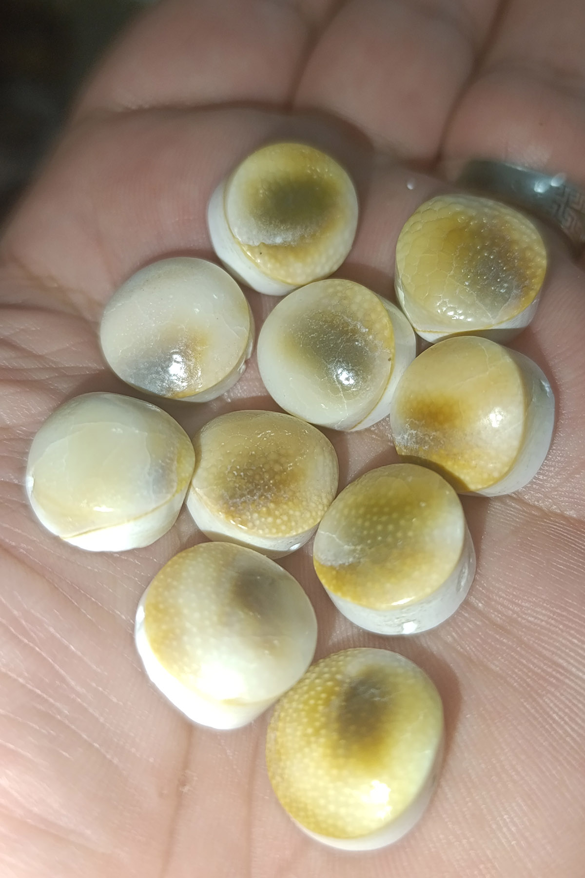 Yılancık Taşı Orjinal Delinmiş 1 Adet - Görsel 2