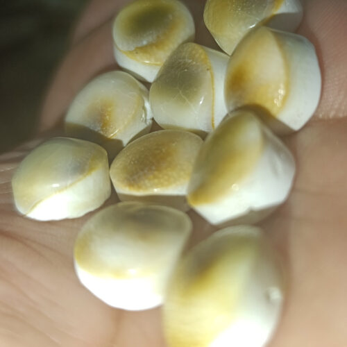 Yılancık Taşı Orjinal Delinmiş 1 Adet