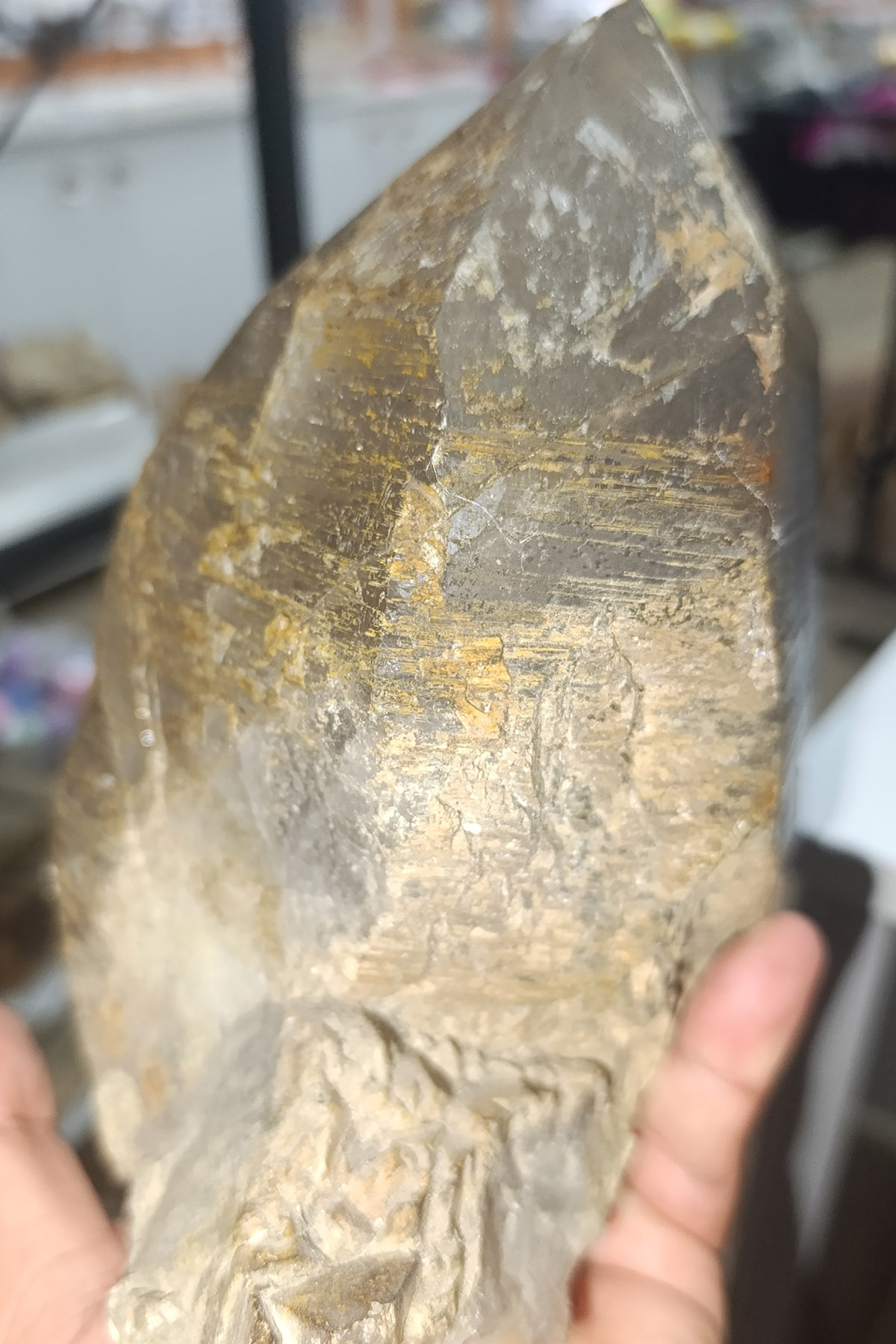Dumanlı Kuvars Taşı Dev Boy Tek Diş Doğaltaş Kütle 3540 Gr - Görsel 4