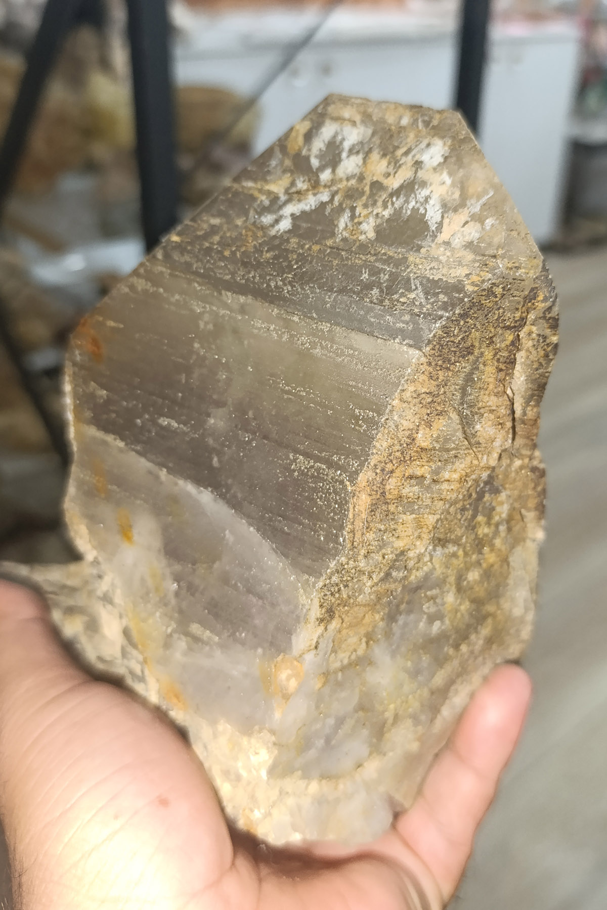 Dumanlı Kuvars Taşı Dev Boy Tek Diş Doğaltaş Kütle 3540 Gr